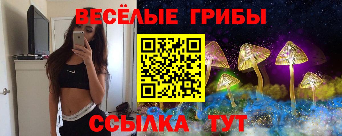 Псилоцибиновые грибы Cubensis Алексеевка