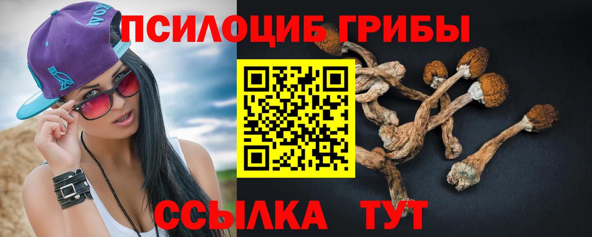 Псилоцибиновые грибы ЛСД  Галлюциногенные грибы MAGIC MUSHROOMS  Алексеевка  Вход с VPN 