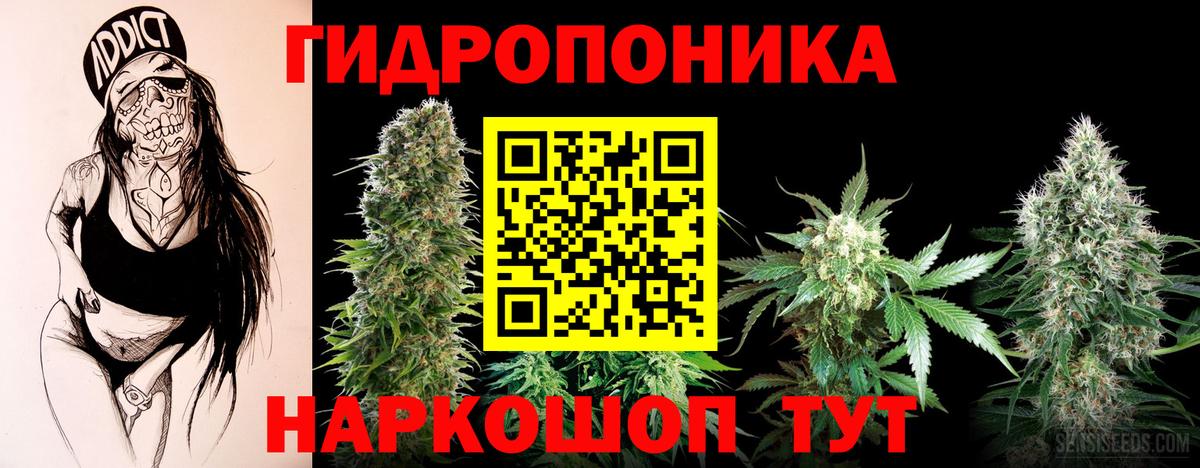 Каннабис марихуана Алексеевка